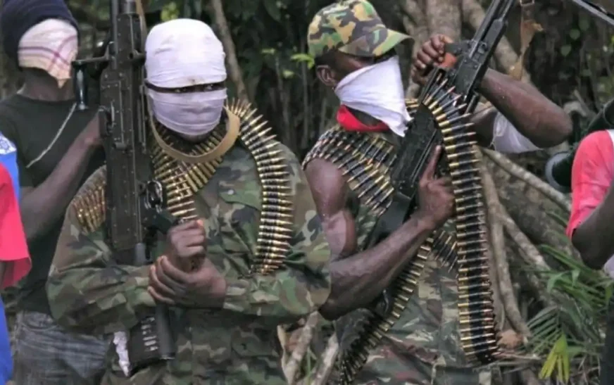 Benue Community in Panic After Gunmen Kidnap, Kill Local Leader