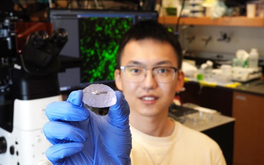 Scientists Turn Lithium-Ion Battery Tech Into Pain-Relief Patch